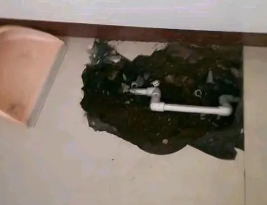 尖草坪卫生间测漏水多少钱
